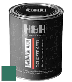 Глубокоматовая краска H&H SCHUPPE цвет RAL 6000 