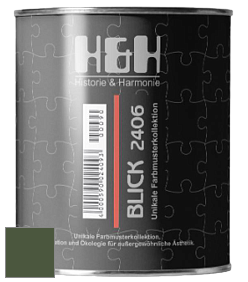 Глубокоматовая краска H&H Blick цвет RAL 6003 